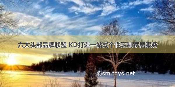 六大头部品牌联盟 KD打造一站式个性定制家居服务