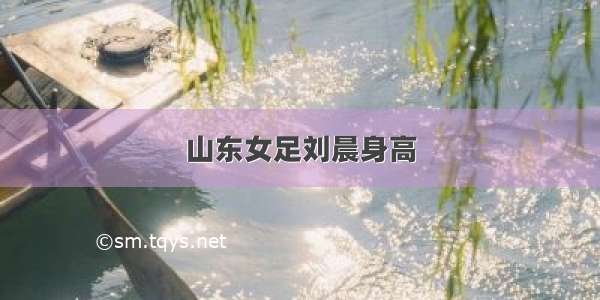 山东女足刘晨身高