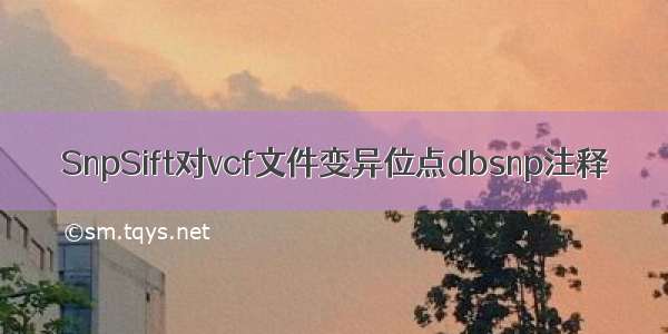 SnpSift对vcf文件变异位点dbsnp注释