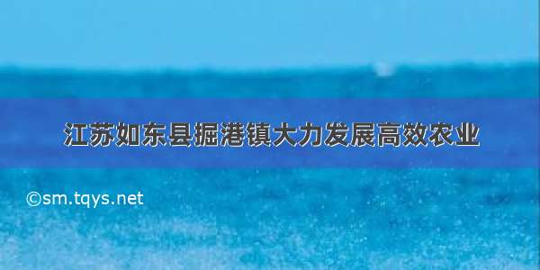 江苏如东县掘港镇大力发展高效农业