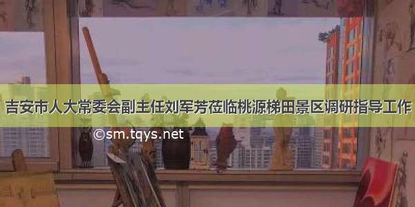 吉安市人大常委会副主任刘军芳莅临桃源梯田景区调研指导工作