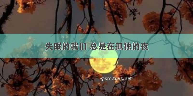 失眠的我们 总是在孤独的夜