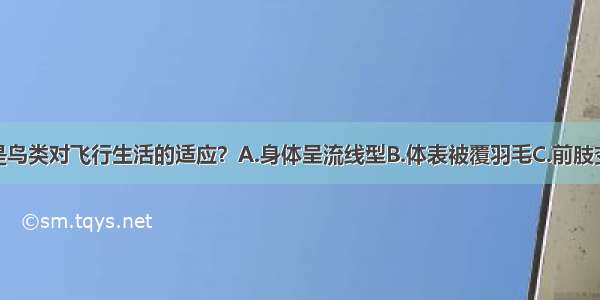 下列哪项不是鸟类对飞行生活的适应？A.身体呈流线型B.体表被覆羽毛C.前肢变为翼D.后肢