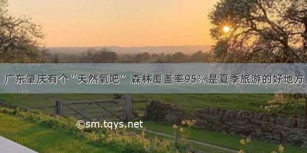 广东肇庆有个“天然氧吧” 森林覆盖率95% 是夏季旅游的好地方