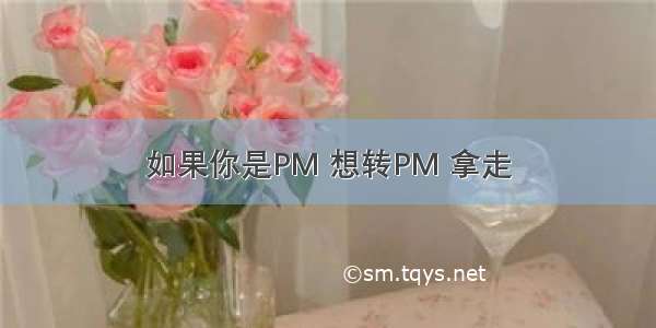 如果你是PM 想转PM 拿走