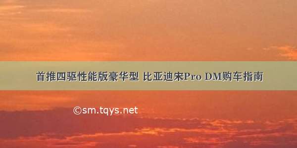 首推四驱性能版豪华型 比亚迪宋Pro DM购车指南