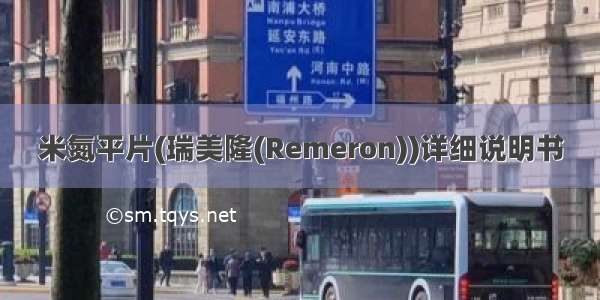 米氮平片(瑞美隆(Remeron))详细说明书