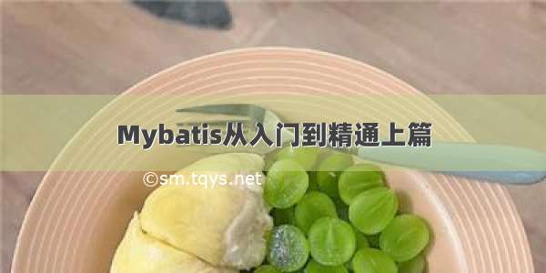 Mybatis从入门到精通上篇