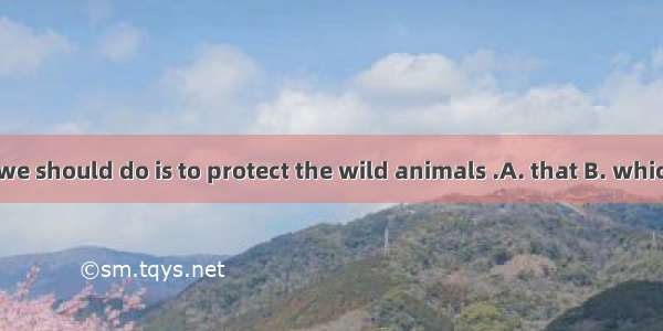 The first thing we should do is to protect the wild animals .A. that B. which C. whatD. ho