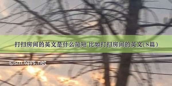 打扫房间的英文是什么简短 比如打扫房间的英文(8篇)