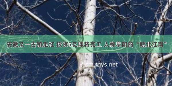 安徽又一古镇走红 投资5亿即将完工 人称阜阳的“皖北江南”