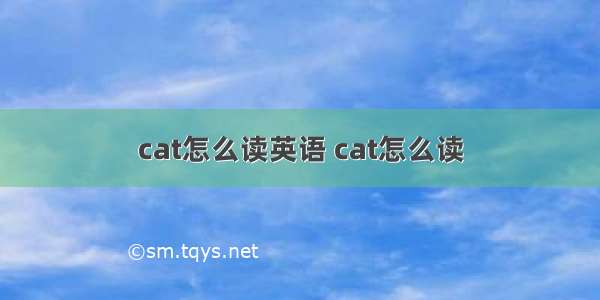 cat怎么读英语 cat怎么读