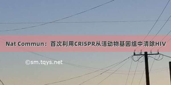 Nat&#160;Commun：首次利用CRISPR从活动物基因组中清除HIV