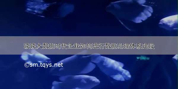 谈谈大数据时代企业如何进行数据治理体系建设