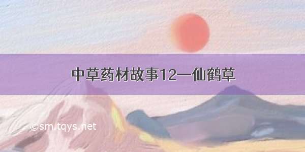 中草药材故事12—仙鹤草