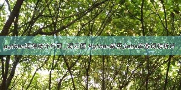 python词频统计代码_词云图 Python利用jieba库做词频统计