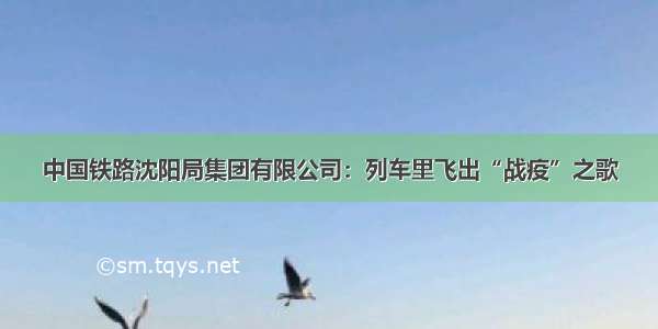 中国铁路沈阳局集团有限公司：列车里飞出“战疫”之歌