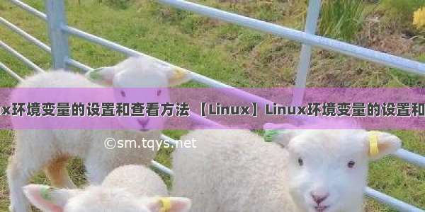 linux环境变量的设置和查看方法 【Linux】Linux环境变量的设置和查看