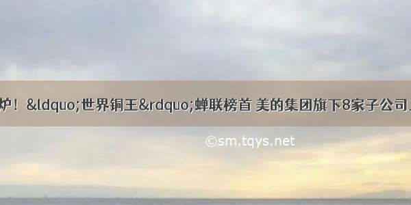 安徽民企百强榜出炉！&ldquo;世界铜王&rdquo;蝉联榜首 美的集团旗下8家子公司上榜；上市公司及