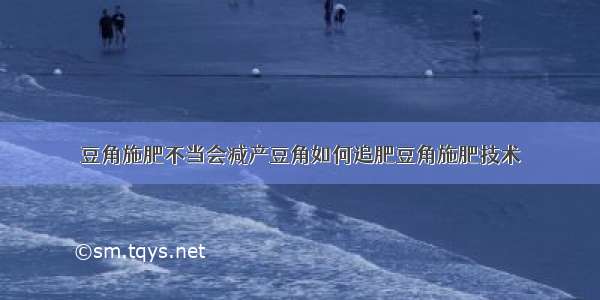 豆角施肥不当会减产豆角如何追肥豆角施肥技术