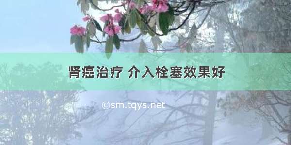 肾癌治疗 介入栓塞效果好