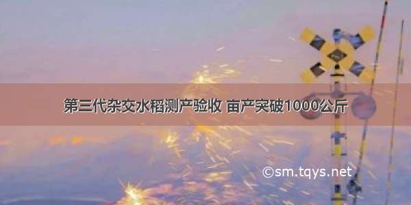 第三代杂交水稻测产验收 亩产突破1000公斤