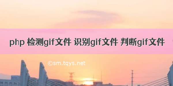 php 检测gif文件 识别gif文件 判断gif文件