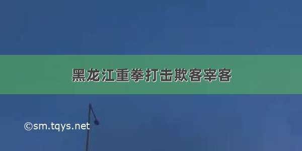 黑龙江重拳打击欺客宰客