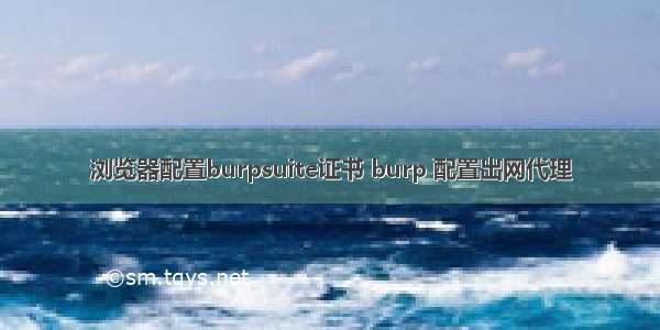 浏览器配置burpsuite证书 burp 配置出网代理