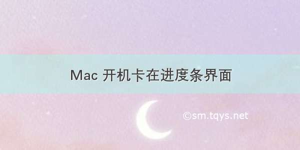 Mac 开机卡在进度条界面