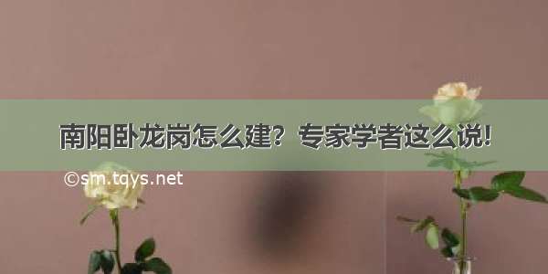 南阳卧龙岗怎么建？专家学者这么说!