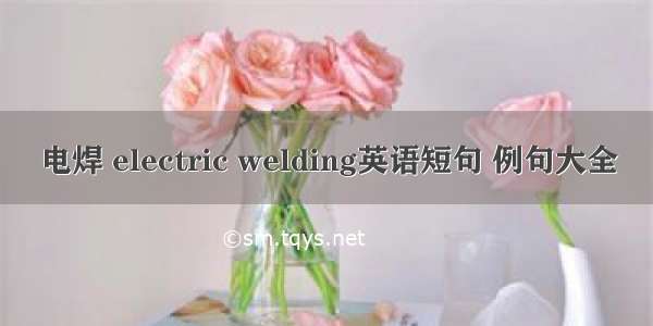 电焊 electric welding英语短句 例句大全