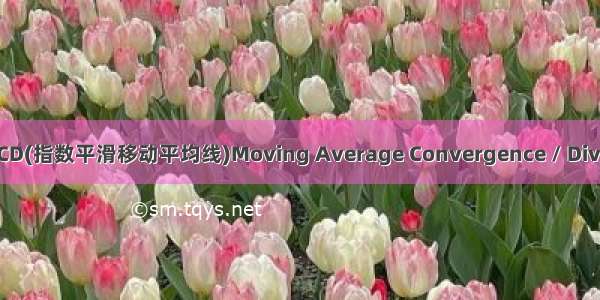 计算MACD(指数平滑移动平均线)Moving Average Convergence / Divergence