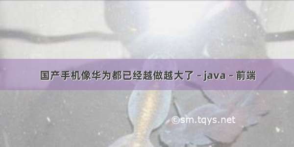 国产手机像华为都已经越做越大了 – java – 前端