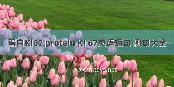 蛋白Ki67 protein Ki 67英语短句 例句大全