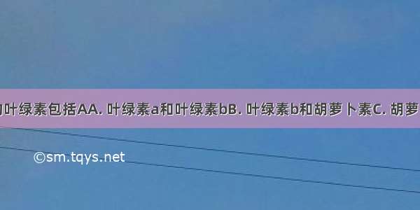 叶绿体中的叶绿素包括AA. 叶绿素a和叶绿素bB. 叶绿素b和胡萝卜素C. 胡萝卜素和叶黄