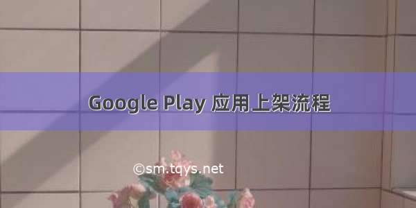 Google Play 应用上架流程