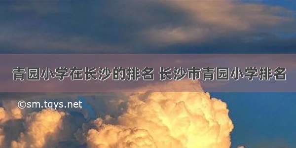 青园小学在长沙的排名 长沙市青园小学排名