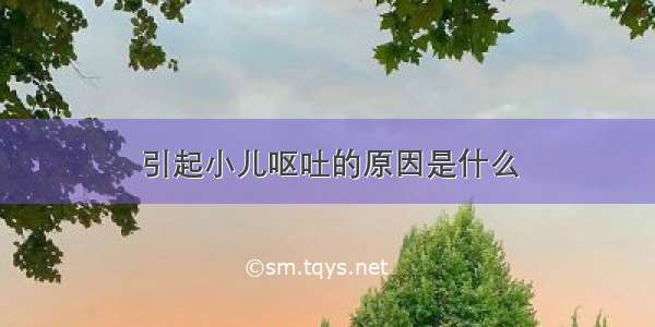 引起小儿呕吐的原因是什么