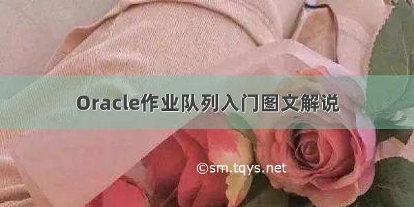 Oracle作业队列入门图文解说