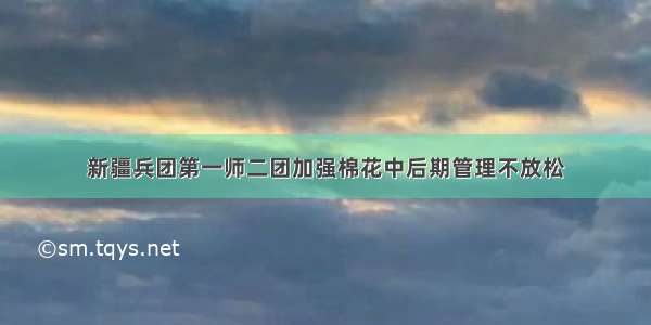 新疆兵团第一师二团加强棉花中后期管理不放松