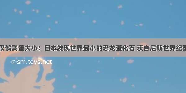 仅鹌鹑蛋大小！日本发现世界最小的恐龙蛋化石 获吉尼斯世界纪录