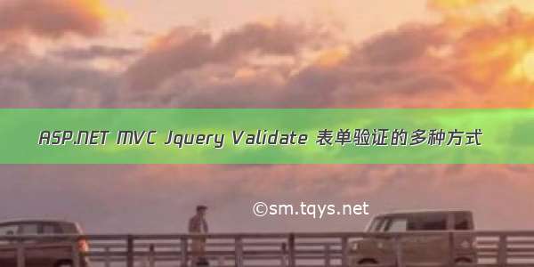 ASP.NET MVC Jquery Validate 表单验证的多种方式