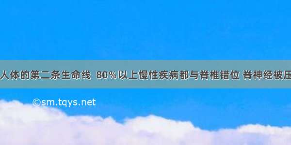 脊柱是人体的第二条生命线  80％以上慢性疾病都与脊椎错位 脊神经被压迫有关