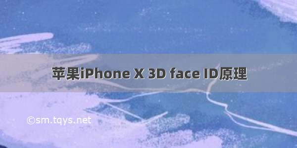 苹果iPhone X 3D face ID原理