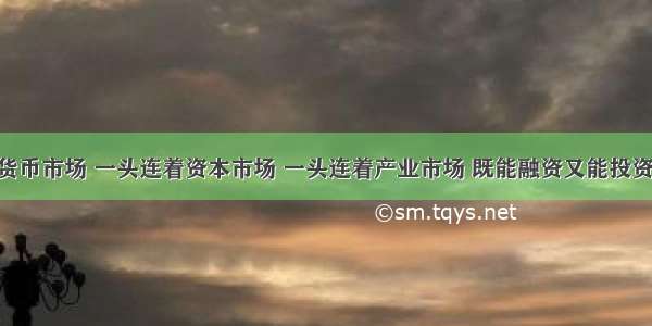 一头连着货币市场 一头连着资本市场 一头连着产业市场 既能融资又能投资 被誉为具