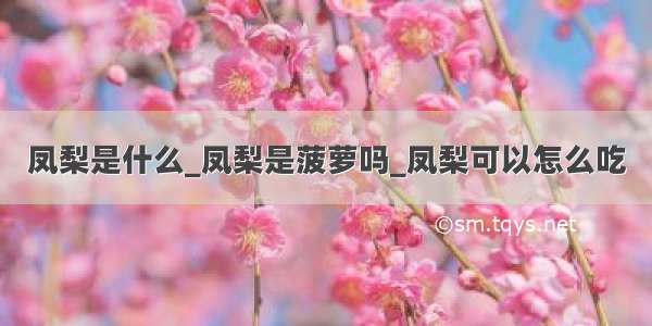 凤梨是什么_凤梨是菠萝吗_凤梨可以怎么吃