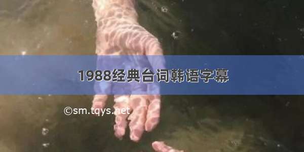 1988经典台词韩语字幕