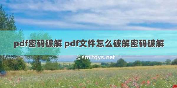 pdf密码破解 pdf文件怎么破解密码破解