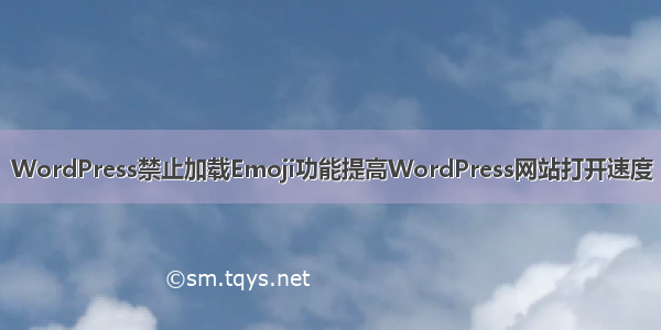 WordPress禁止加载Emoji功能提高WordPress网站打开速度